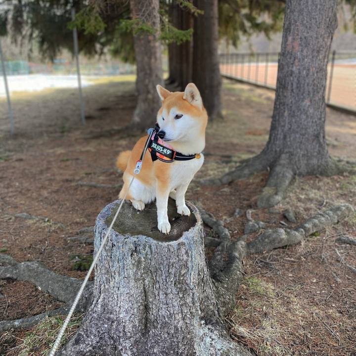 D7225882 ec49 47dc a5df f7ad7855b880 1616985566448