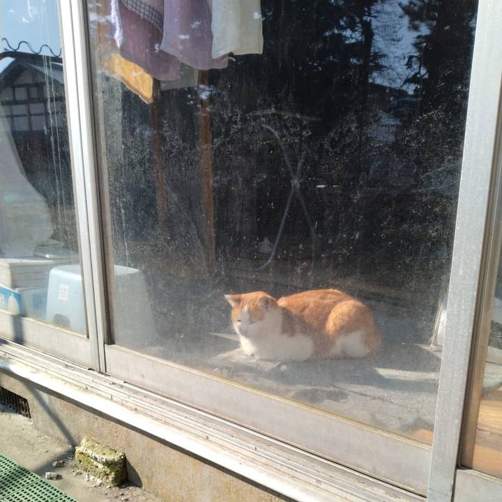 D7226197 e376 4a3d ad4f 07ecafafb1a6 1773730150246