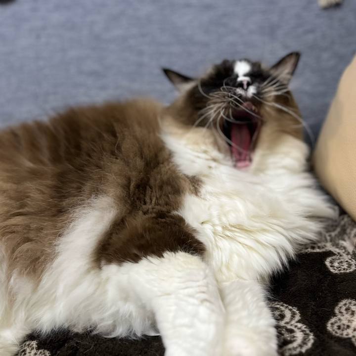 D7226952 3718 449a a16f 7e2d481659a6 1739887161330