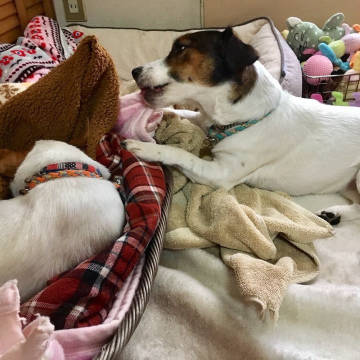 D7227acf 7829 4e38 9d34 4381790ecbf5 1509962356639