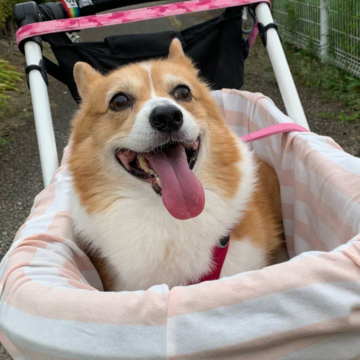 D7229785 84af 40a0 8bb8 cbc990f2d5d6 1722904571832