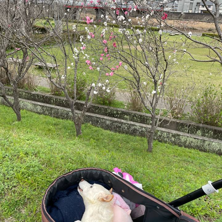 D7229bab e484 4d72 bd7c 8be0977ed2de 1679478739012