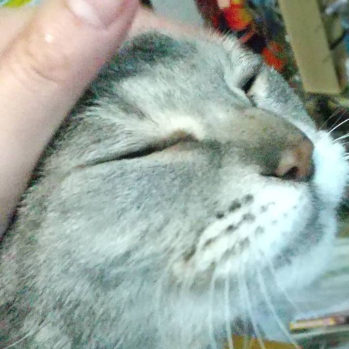 D722f640 c07f 4273 a56b 12f690d36c1d 1682162907418