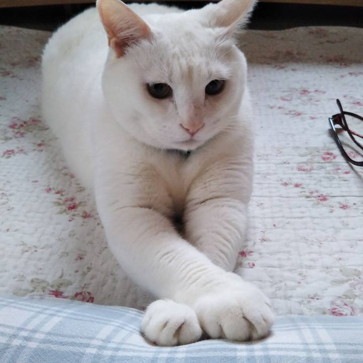 D72304f3 6336 42ee b96d 82a4a0776b08 1600428403694