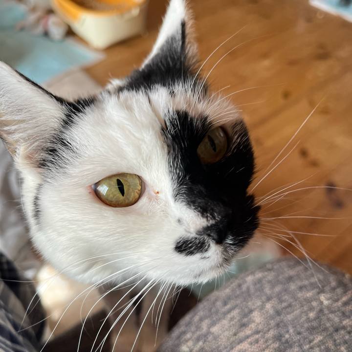 D7230a31 c052 4b2b 9a95 4feeaed1a0d6 1773612312354