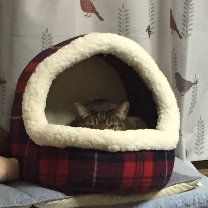 D7230fed cf4c 444c b8a6 8d75f23c657f 1514643286871