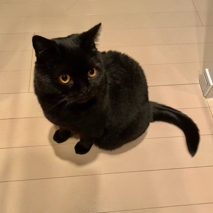 D7236bc0 a397 436b 904d 1e873a51c81e 1710762430119