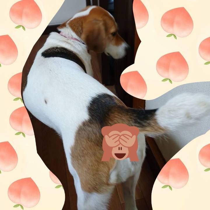 D7236bcc 8996 4c05 9600 ef77490183d7 1597804197788