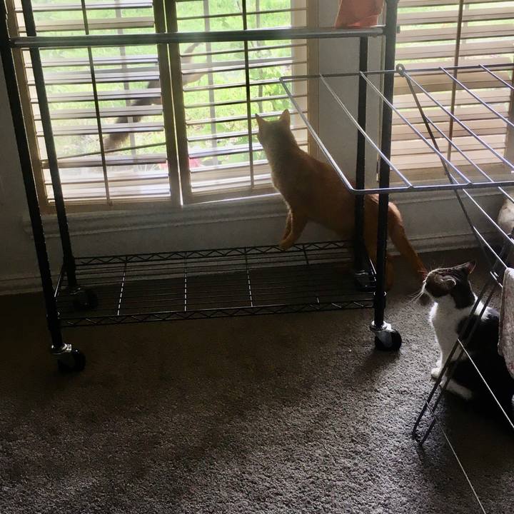 D7237411 27e1 452c b264 45db883dfa8b 1657845941111