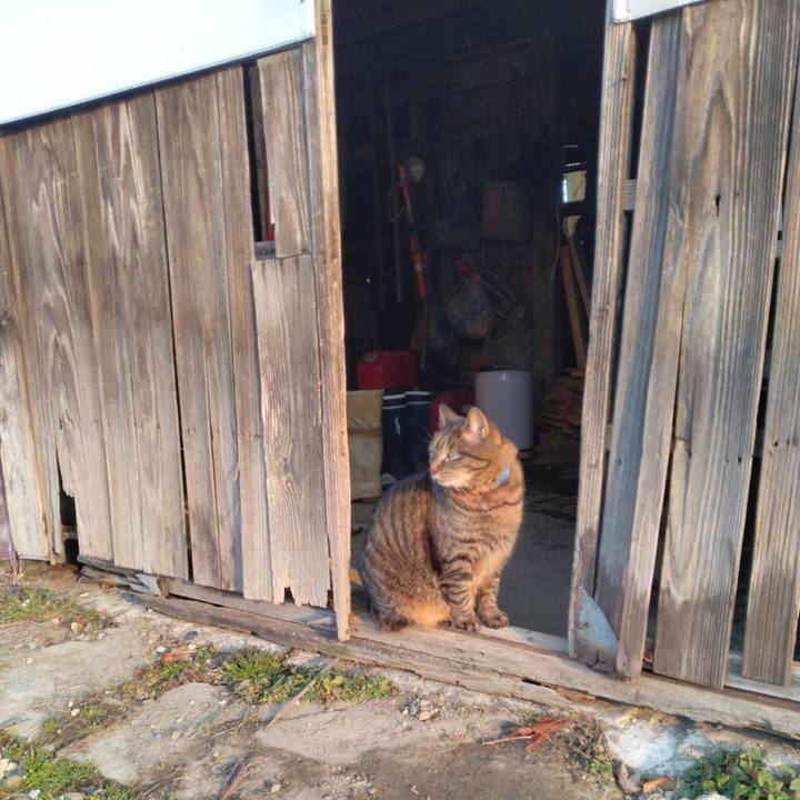 D7238e19 fbca 4d4e 928a e54a6ae9d3a4 1678315347881