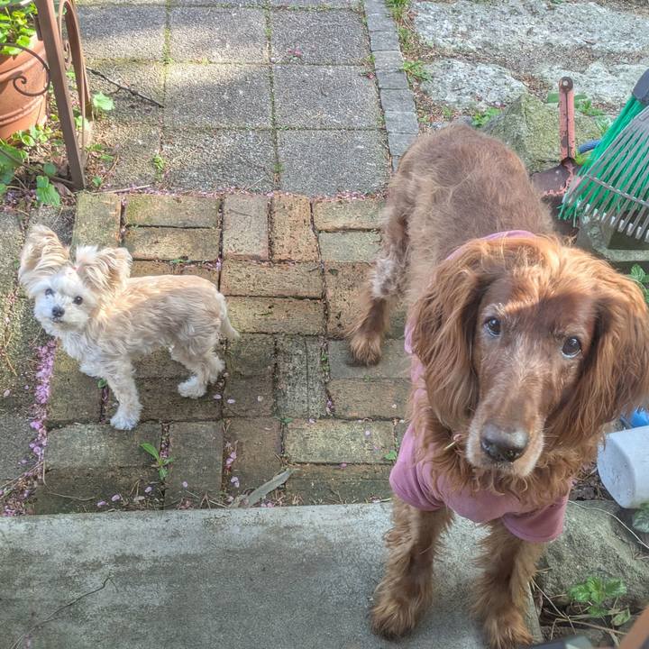 D724208f ef76 4c44 9ef9 6b2dc8670fb1 1776896953744