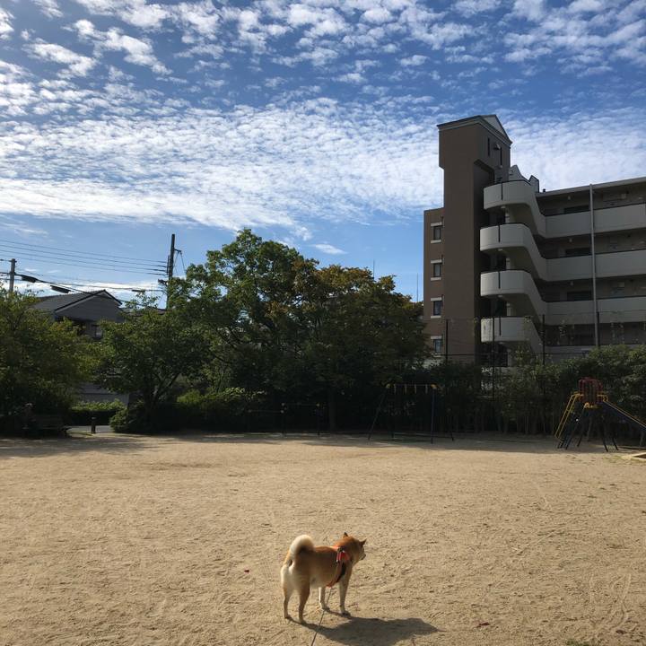 D724436e 59a6 4545 84af 9aa96c92e87b 1568982512640