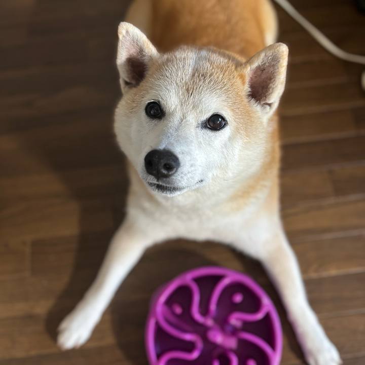 D72494af 31bb 4b4e 8aa5 1259adb81269 1751316032149