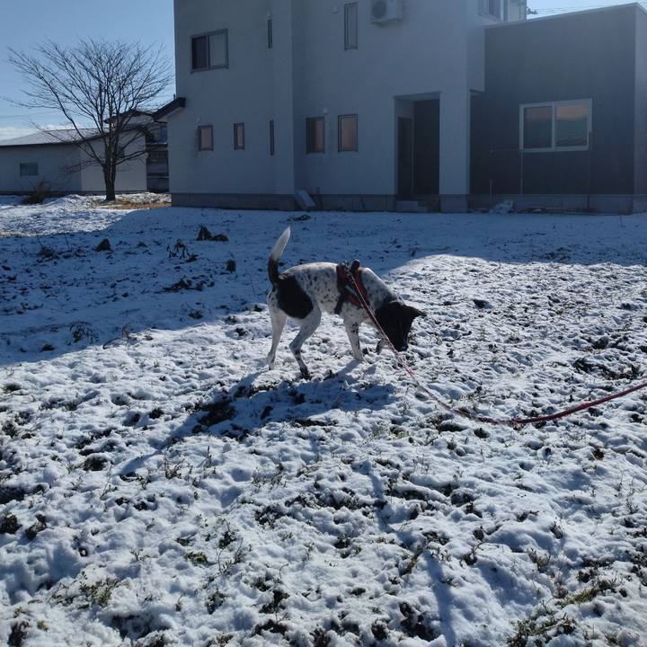 D724b79b f406 4698 bdff 28fa99c97a7c 1705214365485