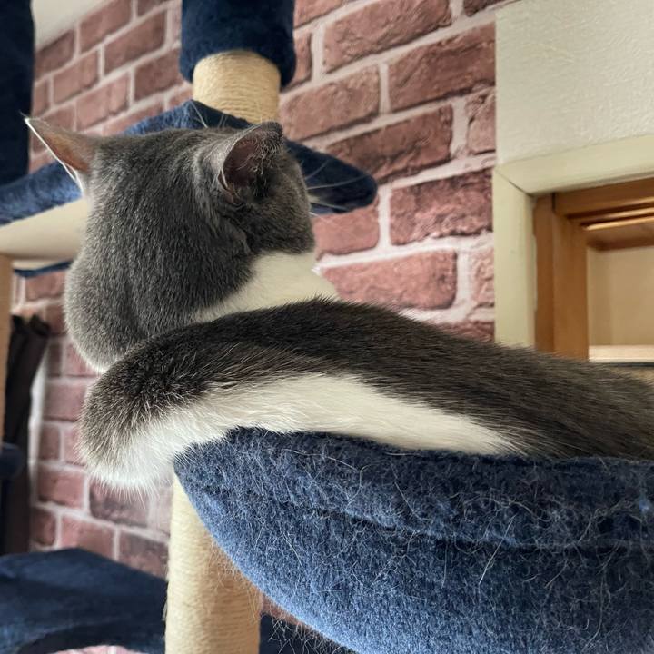 D724c656 2c35 4be8 bb03 ad331bd7b837 1662445788707