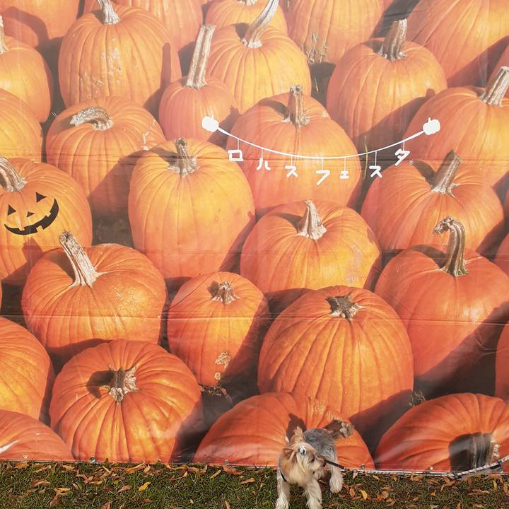 D724deab ad00 41d8 95b4 fce0ac1a78aa 1635629221549