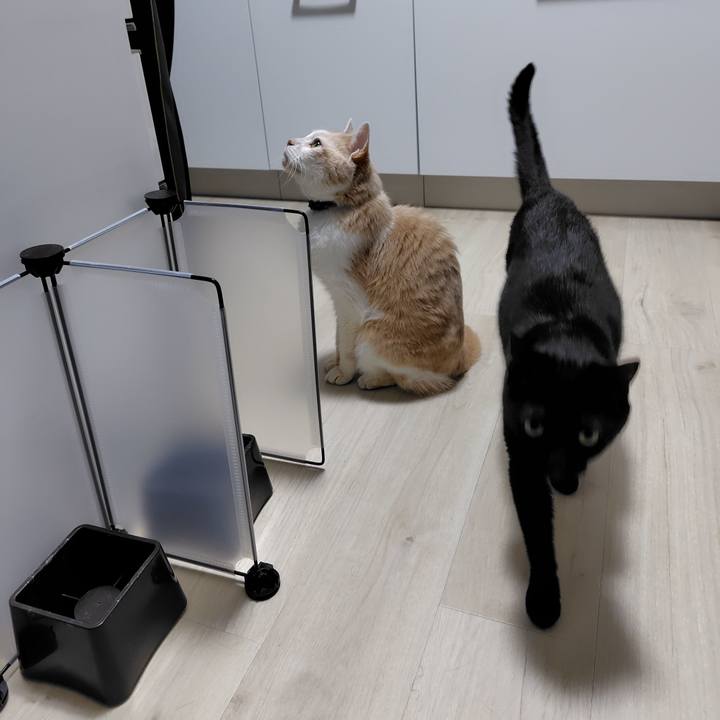 D724dfa8 be69 4387 80ee 53810be63ed9 1715947285711