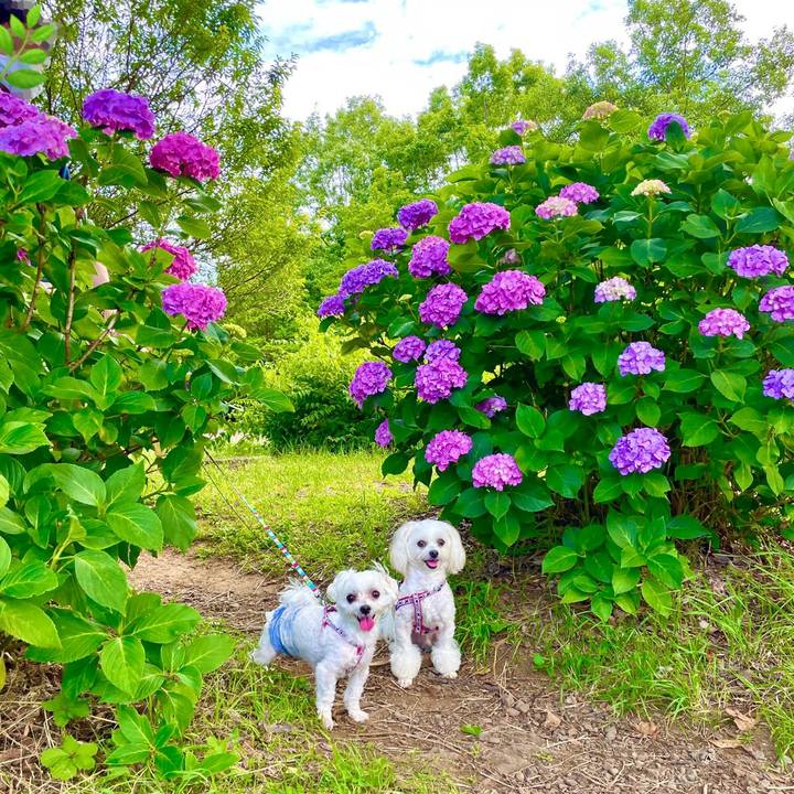 D724dfd7 df54 4979 a957 0f9ebfbf3290 1625023710016