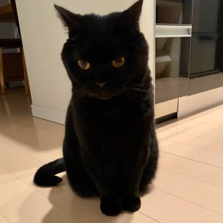 D724e1fb 0a6b 4202 a1b4 4acc63d8fb17 1709728215419