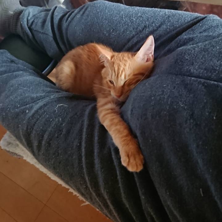 D7252af7 b004 422f 9e66 8a523883bafe 1632712999045