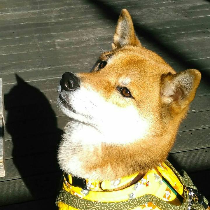 D7254b84 2eb3 4554 9b30 c3c022a86067 1514259960841