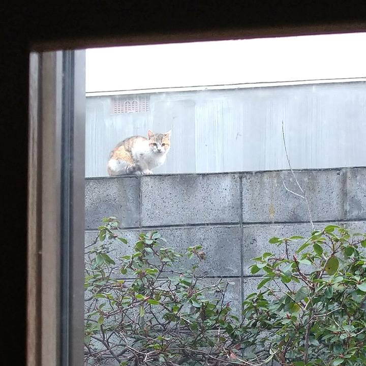 D7254c1d f739 40d3 afc8 cabf36c9462e 1669765958450