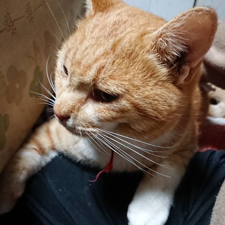 D7257906 9583 4c65 9e94 968619589895 1573938698775