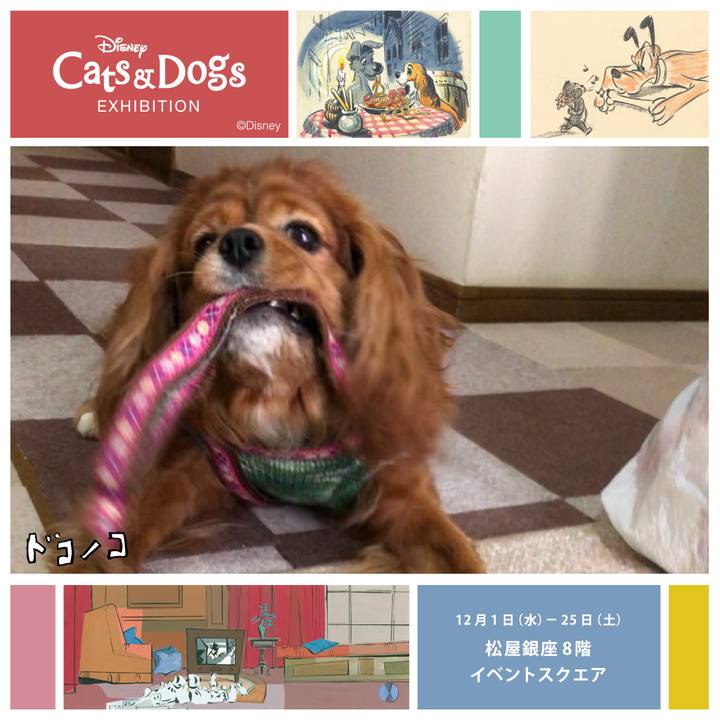 D72596a3 3245 46f9 ab9b 23bf7840f85c 1639873149712