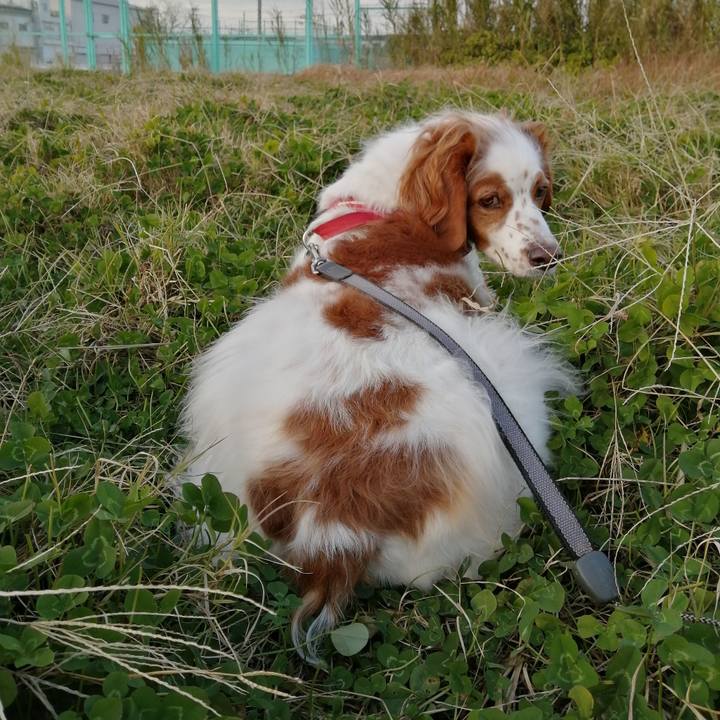 D725a1d3 23f0 4dca 8e38 b31c34179883 1576746908021