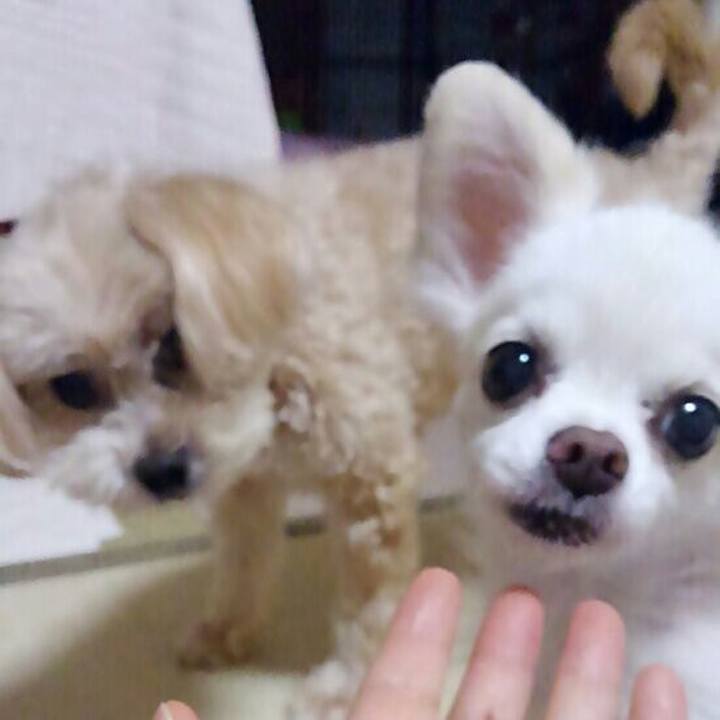 D725a2ea fbc9 460d 81ee 4f968239ef5e 1569586246109