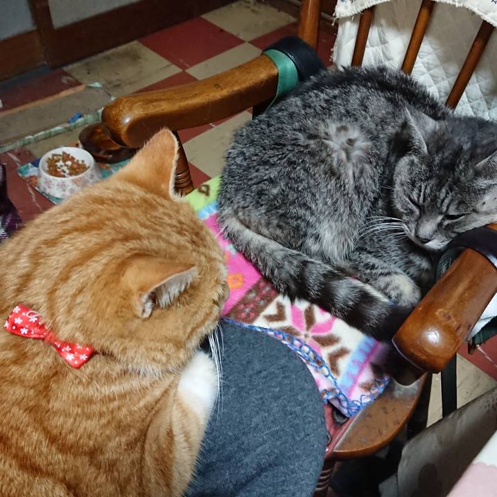 D725a9f7 e5c1 4541 ab23 7e3a0284f460 1577577346084