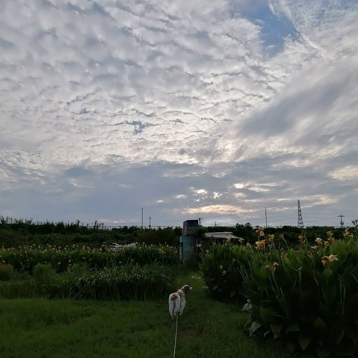 D725d08d 535e 4ea8 bb1f 04c2f8bc76a6 1596358578837