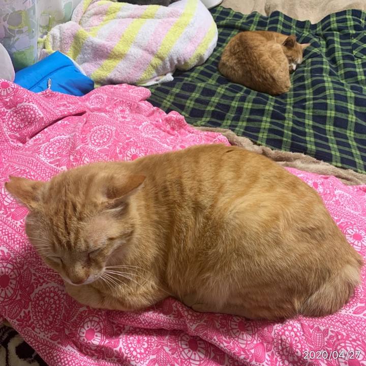 D725df37 3ee4 4e9a 969f 7a3e4493fb18 1587991384727