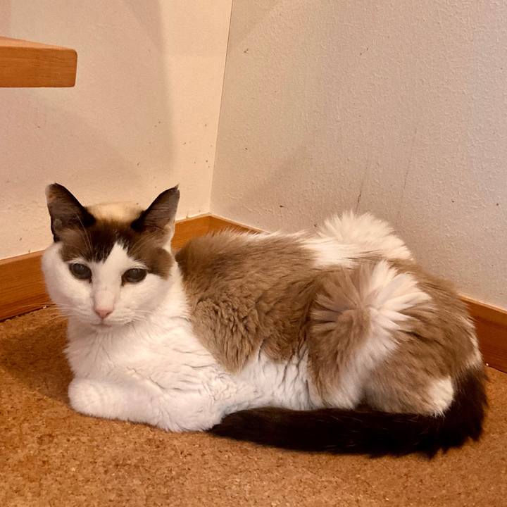 D725e84a 5e86 415f bca0 05b3f343ff56 1679112334459