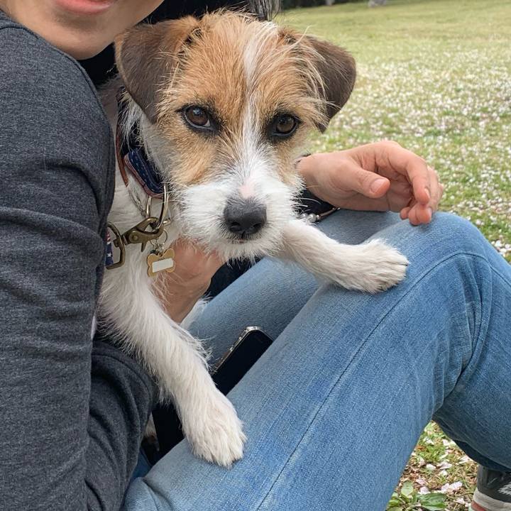 D7266259 0786 419f acfd 1c22a361503f 1776174201629