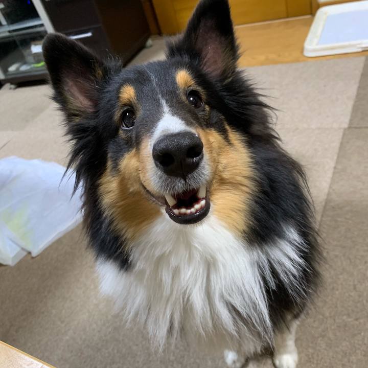 D72685c8 50d6 4c02 b666 f6f5e4d0813a 1576614823776