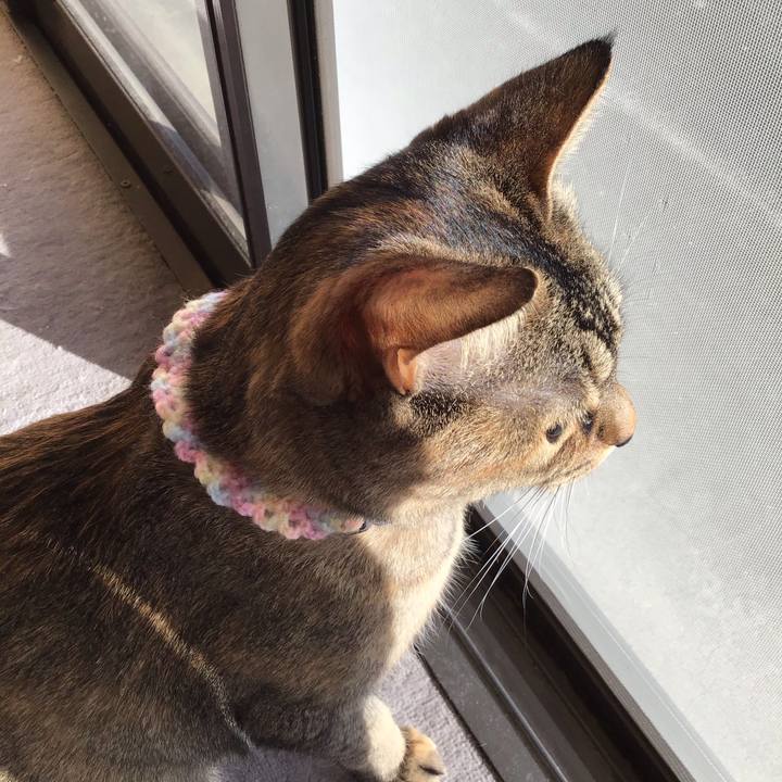 D7268d3d 9982 49f6 b760 2b382a6732de 1612859075037