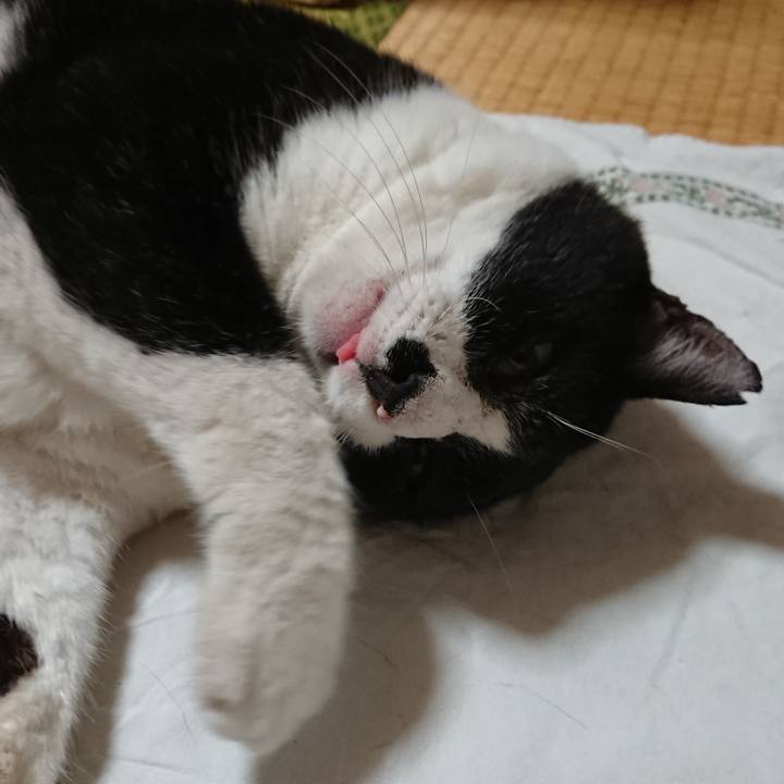 D72692f6 714a 4b0f 8b91 f53ba6ea5275 1661419491138