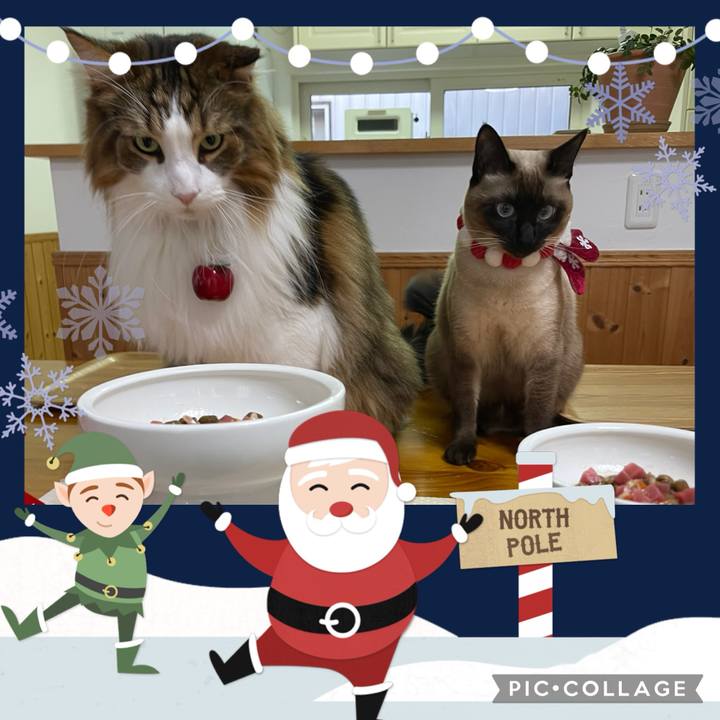 D726a0f5 f1f8 4f94 8495 0bbd23532a2b 1735031349224