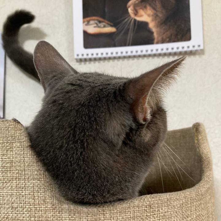 D726d19f 4473 4b44 876b 486991c5fd57 1695466793940