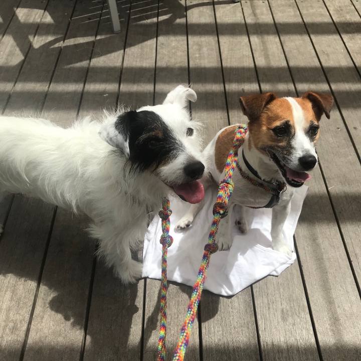 D726d91d d0c4 4594 8eed 67a2cdb77d9b 1535166873791