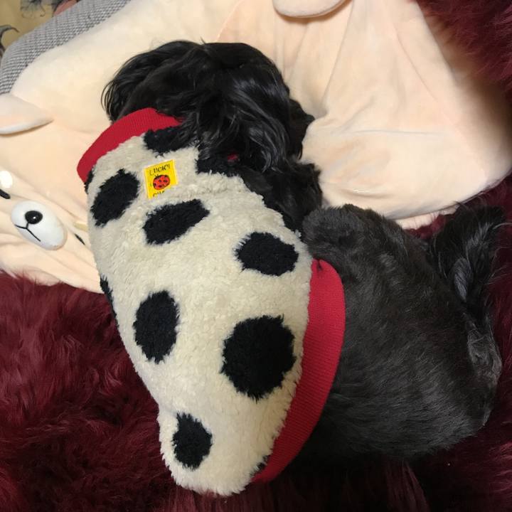 D726fcc6 db2e 45d4 83dc 60c1142152b3 1514471501139