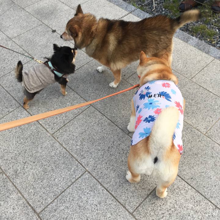 D727010b f2b0 4ec0 9a47 a6620ee133b2 1554458688850