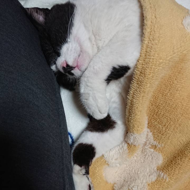 D727052a c5c3 4624 8a12 0fc5c3126d9b 1636443268998