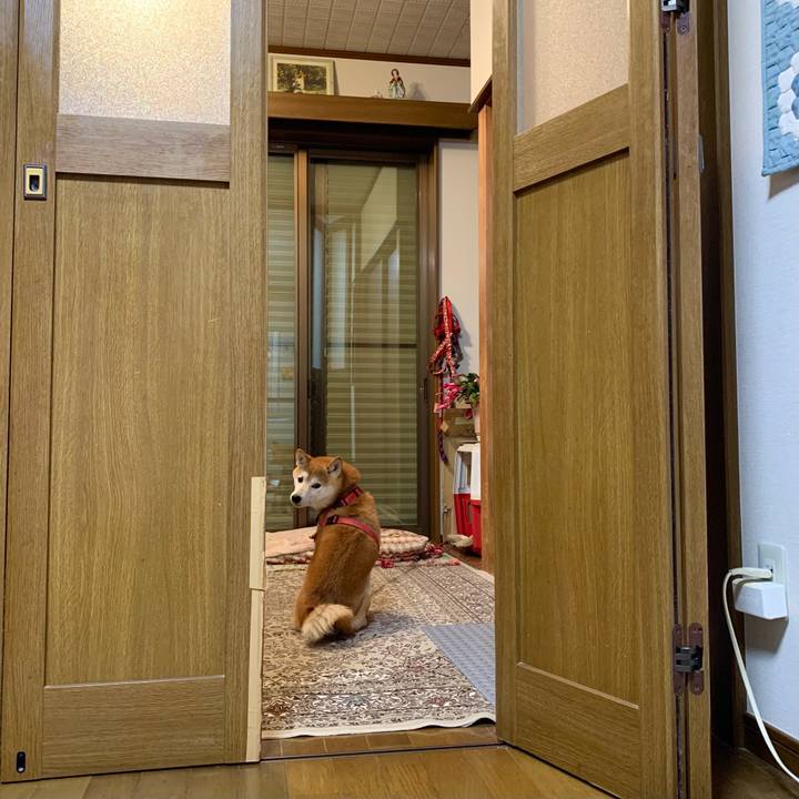 D72742ae 27e2 4eee add6 ef8e8946287e 1638614642442