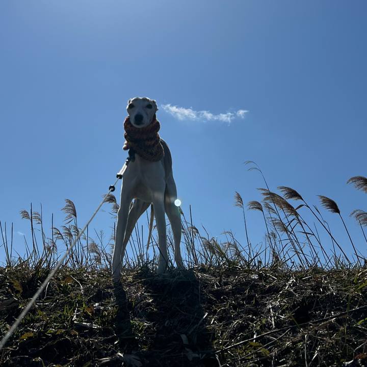 D72755d1 e21a 49ea 91c1 1a354ae26e96 1774944826720