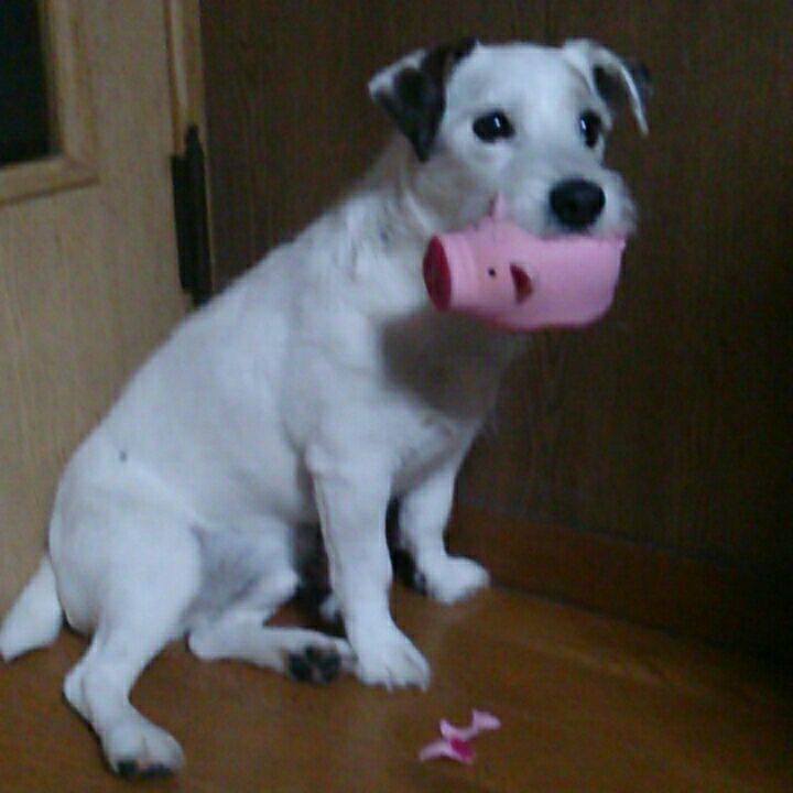 D7275e3a 586c 4d9d b11d c13e9bf62128 1517008822814