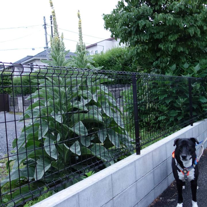 D7277129 5520 4e77 b4e9 23ace375f4db 1718447048422