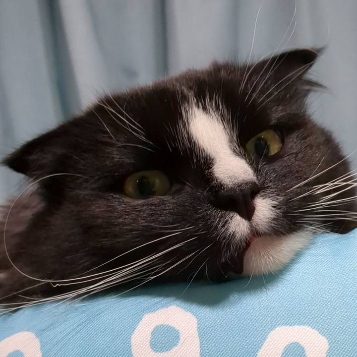 D7277fc9 9f4e 4dcb b9c6 39d518fdd2bb 1680678644556