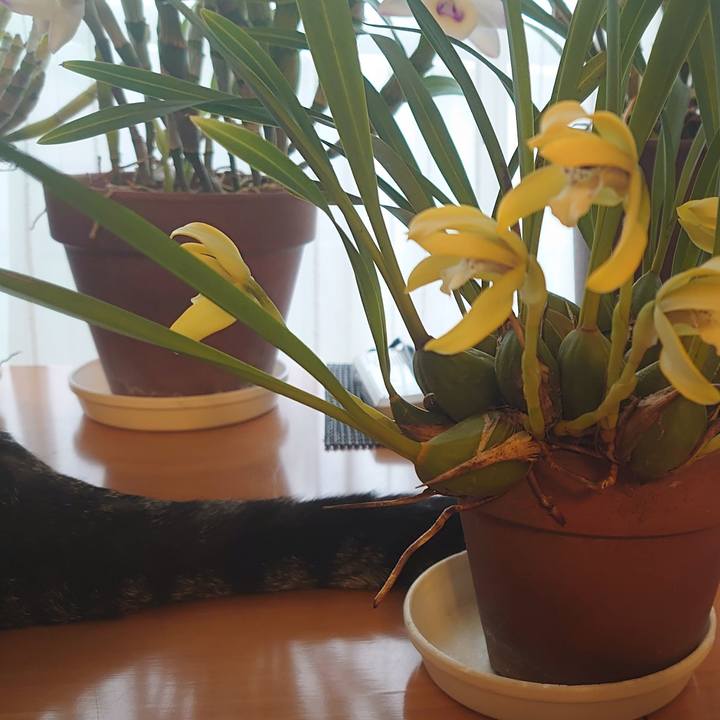 D7280ddf c5cd 4a97 9fc7 eb6c4d2afef8 1644453648701